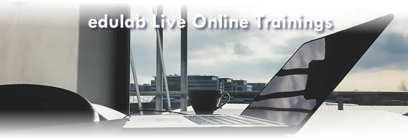 Online-Training